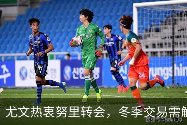 尤文热衷努里转会，冬季交易需解决卡巴尔问题